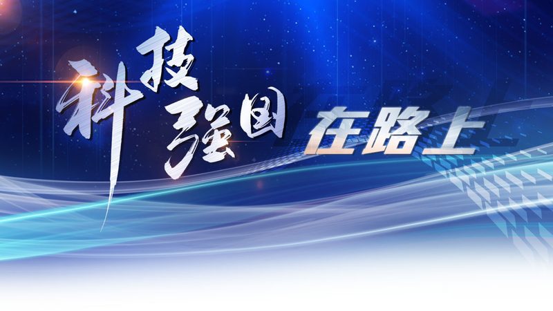 数据治理体系搭建：迈向高效数据管理的关键步骤**